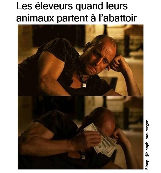 les eleveurs quand leurs animaux partent à l'abattoir. Suivi de l'image d'un homme qui pleure et qui essuie ses larmes avec 5 billets de 1 dollars. non seulement ils font ça pour l'argent, mais en plus, ils ne peuvent pas vivre avec. ces cons.