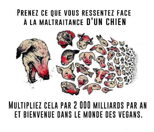 image d'un chien meurtrie plus grand que d'autres animaux avec le texte : Prenez ce que vous ressentez face à la maltraitance d'un chien. multipliez cela par deux mille milliards par an et bienvenue dans le monde des vegans.