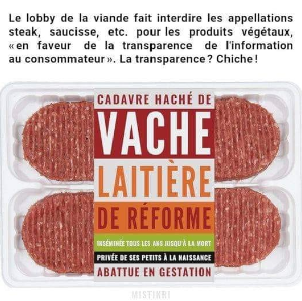 Le lobby de la viande fait interdire les appellations steak, saucisse, etc pour les produits végétaux 'en faveur de la transparence de l'information au consommateur'. La transparence, chiche ?. le texte est suivi d'une image de produits de steak haché, avec, comme étiquette : cadavre de vache laitiere réformée inséminée tous les ans jusqu'à la mort, privée de ses petits à la naissance et abattue en gestation. 