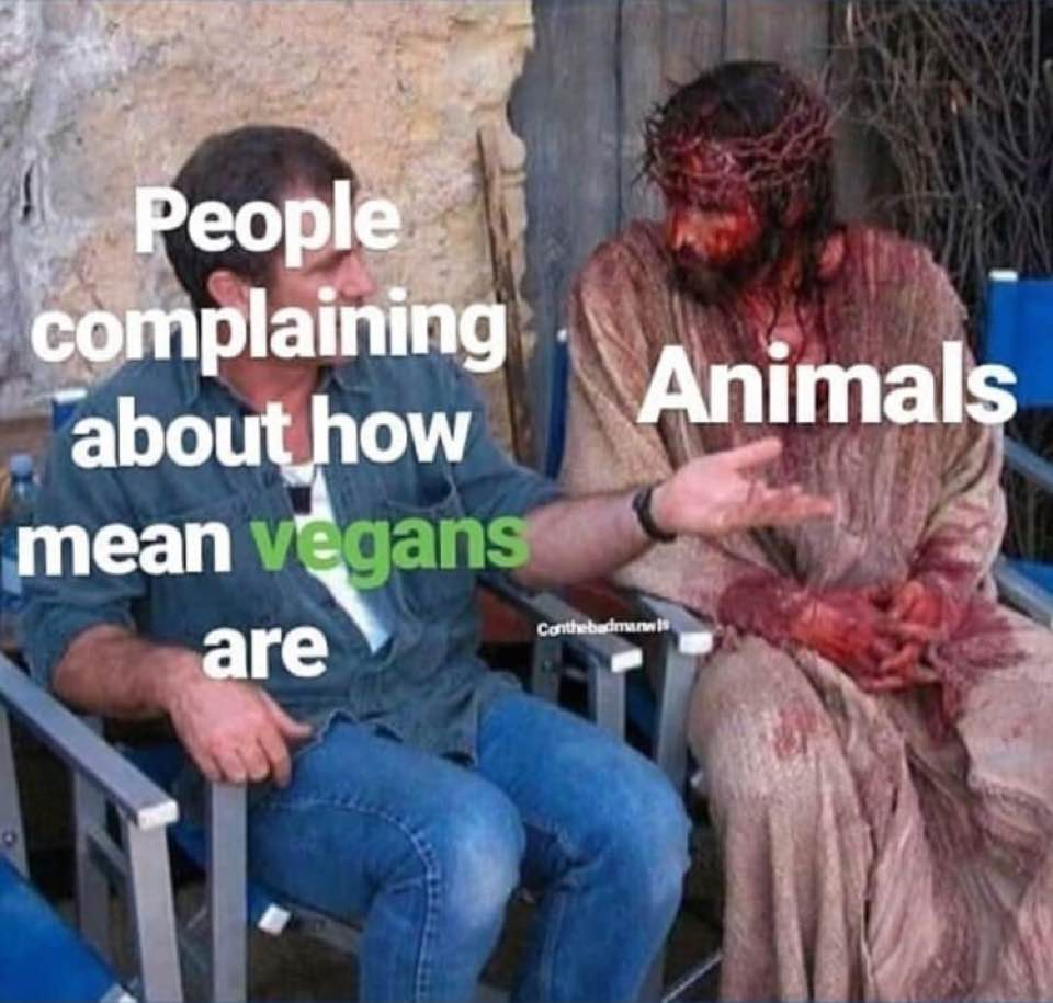 une image d'un homme qui discutent ensemble. le premier est habillé de façon classique avec le texte 'les gens qui se plaignent de la méchanceté des vegans', l'autre homme est jésus christ habillé d'un draps, avec la couronne d'épine et entierement ensanglanté écoutant le premier, avec le texte 'animals'
